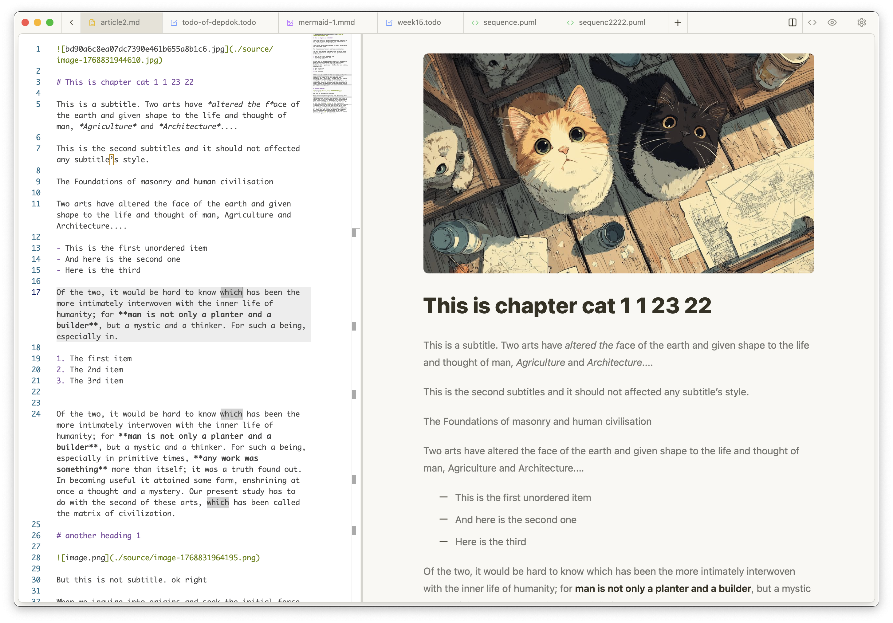 Markdown editor with live preview